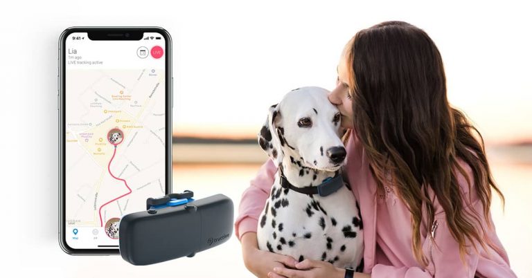 3 Best Personal GPS Tracker For Pets: Track Your Kitties and Puppies